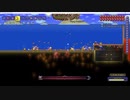 Terraria 1.4.0.5 Master 実況プレイときどき解説 part20（Pirate Invasion）