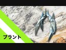 【折り紙】「ブラント」 11枚【山】／【origami】"Brant" 11 sheets【mountain】