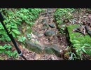 日本百名山追体験 7山目 那須岳 part7 後編