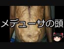 【ゆっくり朗読】ゆっくりさんと不思議な病気 その222