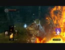 けっこうヌルゲーじゃね【ダークソウル】　Part1