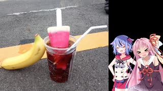 琴葉・鳴花の自転車日記　5ページ