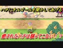 あつまれどうぶつの森　ハチにオルゴールを聞かしてあげる！？ハチさんはオルゴールが大好き！！　【あつ森】