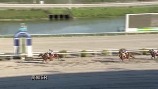 2020年8月15日高知競馬5R 栴檀特別(準重賞・3歳) フルゴリラ