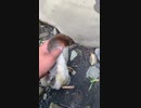 ホモと見る烈 海王