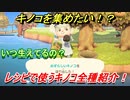 あつまれどうぶつの森　キノコの集め方とは！？レシピで使うキノコ全種紹介！　【あつ森】