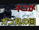 言葉の推理力テスト【アテッコ】part3
