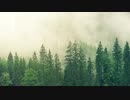 【まほやく弾いてみた】東の魔法使い　東の国BGM　ピアノ＋雨音