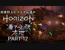 田舎狩人とララさん達のHZD 凍てついた大地 PART-12