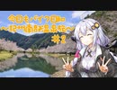 【紲星あかり車載】今日もバイク日和～紀州南部温泉旅～＃2