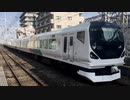 E257系M-105編成 新宿さざなみ1号 市川駅通過