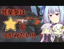 【ApexLegends】琴葉葵は星をつかみたい！！