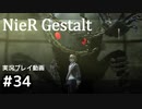 【NieR Gestalt】こんにちは狂気【part34】