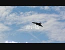 【AIきりたんオリジナル曲】青い鳥