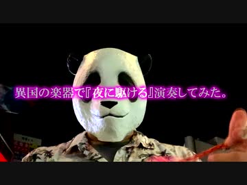 ●～●異国の楽器で『夜に駆ける』演奏してみた●～●