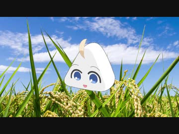 Amazing Rice