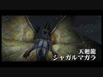 ホモンスターハンター.xx14