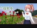 元気が出る歌／さとうささら