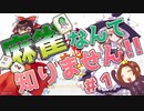 【東方幻想麻雀】ガチ目のド初心者が麻雀を始めてみました。#1