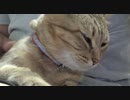 願うカメラマン　＃180