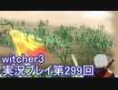 探し人を求めてwitcher3実況プレイ第299回