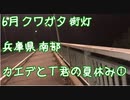 クワガタ街灯採集 6月兵庫南部 カエデとT君の夏休み１