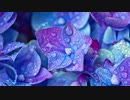 【まほやく弾いてみた】雨宿りのカエルのエチュード〜南の国&北の国〜 BGM piano & strings cover