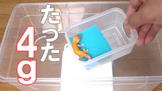 人気の 爬虫類 Av アニマルビデオ 動画 729本 4 ニコニコ動画