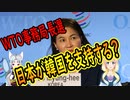 WTO事務局長で日本は韓国を支持する事になる！【世界の〇〇にゅーす】