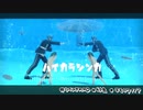 【MMDツイステ】うつぼふぇす【自作幼虫モデル】