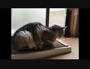 コノリアス khonorius = I don't understand forever man(Alien world architecture)