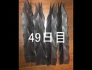 黒折り紙で千羽鶴を作っていく　49日目