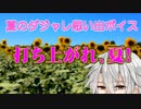 【新人Vtuber】夏のダジャレ思い出ボイス【笑えよ頼むから】