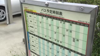 バス停から職場まで 8月17日