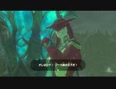【縛り実況】生きとし生けるものを一切殺さないゼルダの伝説ブレスオブザワイルド　part6