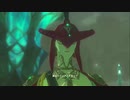 ゼル伝ワイルド４