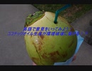 英語で話してみよう！ココナッツオイルは環境破壊に繋がる！？