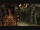 【Skyrim】展示数は0弱でしょうねぇ.mp4