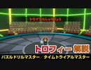 【トロフィー解説#3】タイムトライアルマスター・パズルドリルマスター解説【ペーパーマリオオリガミキング】