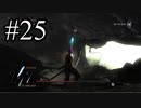 【実況】初見デモンズでさすらって逝く 第25廻