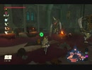 ゼルダの伝説ブレスオブザワイルド実況プレイ(DLC編)Part10