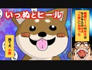 【いっぬとヒール】捨て犬 最凶最悪のヒールプロレスラーがもふもふの豆柴系ミックスの仔犬と出会った！仔犬の運命は？【マンガ動画】