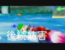 くじらのいるビーチは海賊船もあったんだ。【６４ディディーコングレーシング】