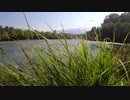 風見芳明