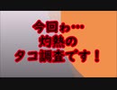 【魚釣り】２０２０夏　酷暑のタコ釣り！　✿´◕‿◕｀✿