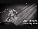 2NE1-It Hurts English Ver. Cover By MoA