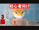 【初心者向け】爬虫類初心者のよくある悩みに答えました