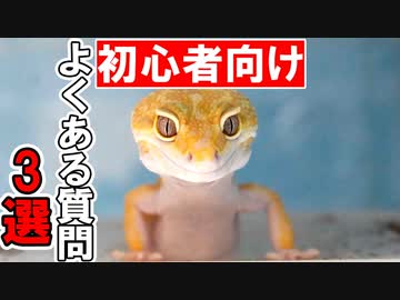 人気の 動物 爬虫類 動画 1 877本 12 ニコニコ動画