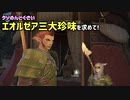 【実況】初心者さんのためのFF14フリートライアル手引書#35