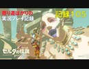 【寄り道ばかりの】ゼルダの伝説BotW【実況プレイ記録105】金に溺れる